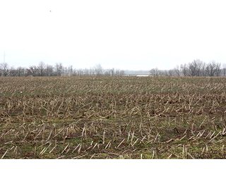 Property photo 9 - 438 +/- Acres Offered in 10 Tracts - Metcalf Farms - 6PM CST